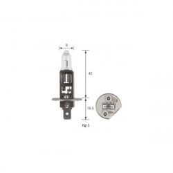 AMPOULE GRAISSEUR 24V 5W POUR POIDS-LOURDS