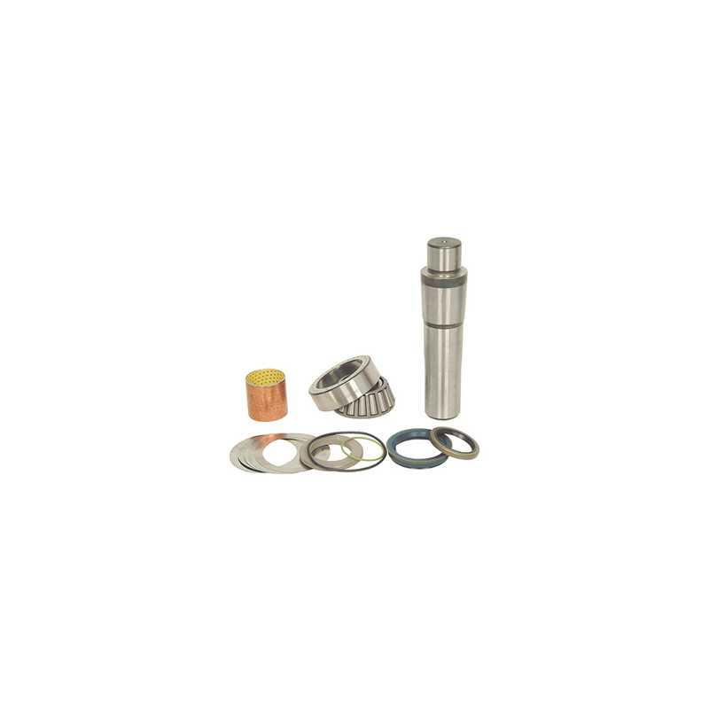 Kit pivot de fusée de roue pour Scania Série 4