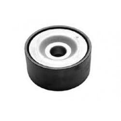 Galet Tendeur pour MAN 