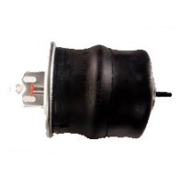 Coussin air arrière pour Volvo FM / FH