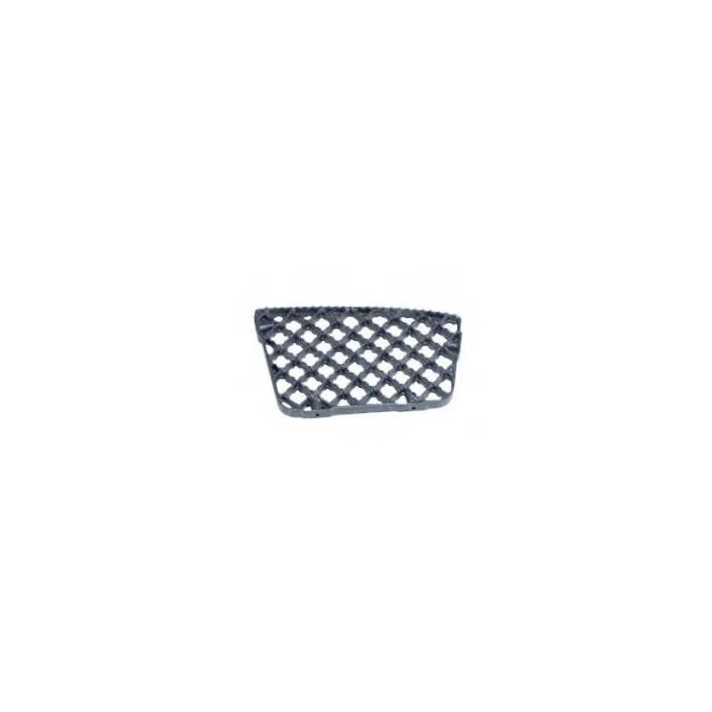 Grille marche pieds pour Iveco Eurotrakker