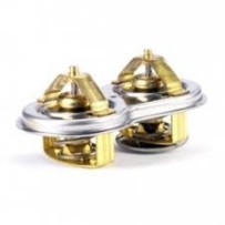 Thermostat pour DAF 4-Serie