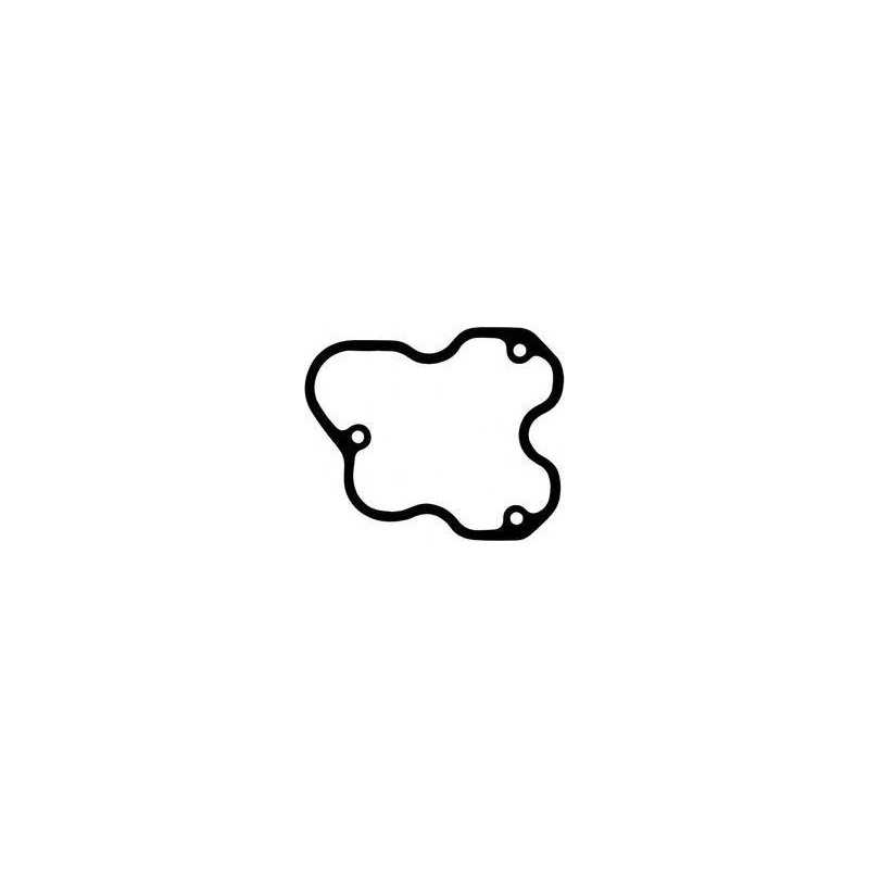 Joint cache culbuteur pour Renault Série R, Premium, Etc (X6)