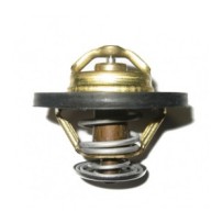 Thermostat pour Renault Maxity