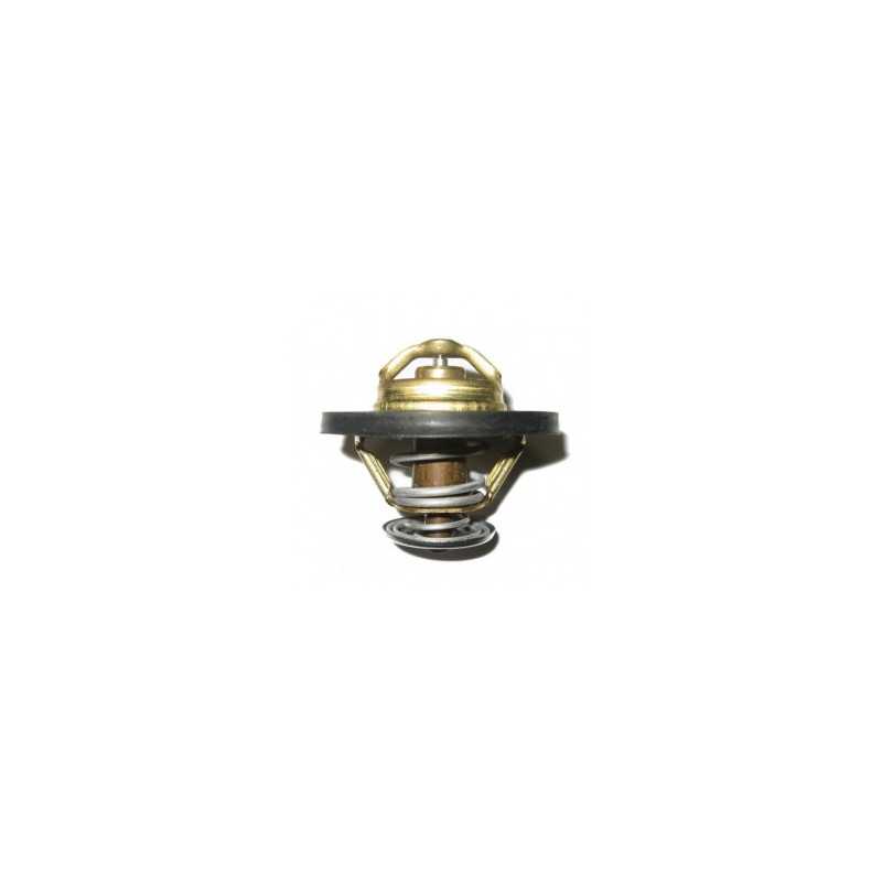 Thermostat pour Renault Maxity