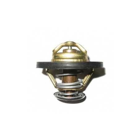 Thermostat pour Renault Maxity