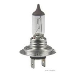 Ampoule H7 Universal