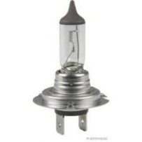 Ampoule H7 Universal