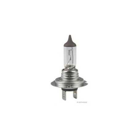 Ampoule H7 Universal