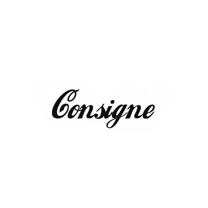 B.V.ZF CONSIGNE