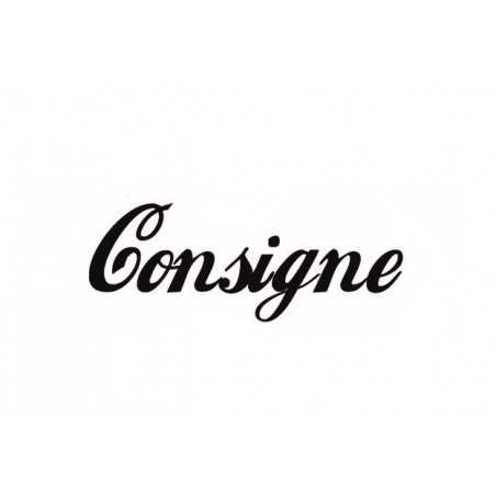 B.V.ZF CONSIGNE