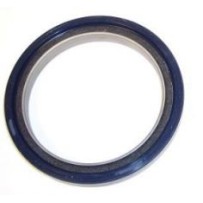 Joint Spie de vilebrequin pour Iveco