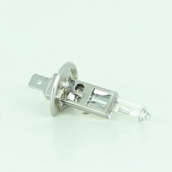 Ampoule 12V 55W P145