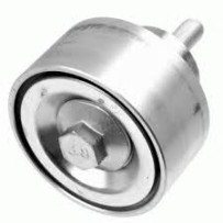 Galet tendeur pour Iveco Eurocargo