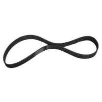 Courroie multi-nervures pour Mercedes-Benz Actros/Antos/Arocs/Axor