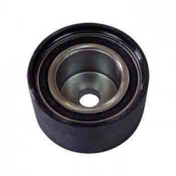 Galet tendeur pour MAN TGA/TGL/TGM/TGS/TGX