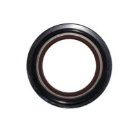 Joint à lèvre de nez de pont 