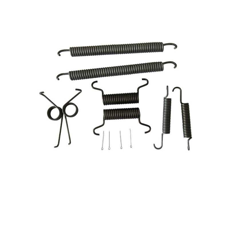 Collection de ressort pour Frein arr Renault série S100