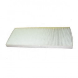 Filtre à pollen pour Iveco Stralis