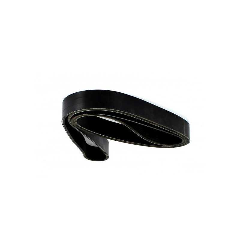 Courroie Poly V L1255mm pour Scania
