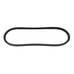 Courroie d'alternateur pour...