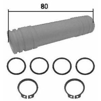 Durite d'eau pour  Renault Mascott