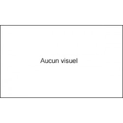 Filtre d'Habitacle pour Utilitaire Renault