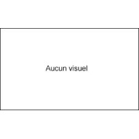 Filtre d'Habitacle pour Utilitaire Renault