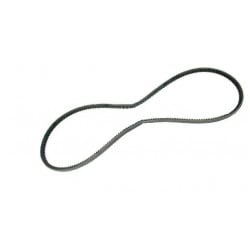 Courroie Alternateur 10X935...