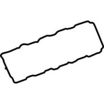 Joint de cache culbuteur pour Renault Mascott/Master