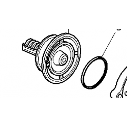 Thermostat pour Renault...