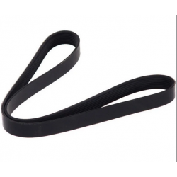 Courroie multi-nervures  pour Iveco Daily