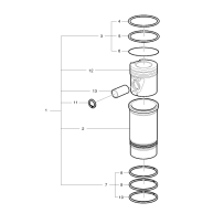 Cylindrée pour Renault Trucks Premium II TR/PR, Kerax /DXi 11, C/K/T 7421977345