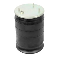 Coussin d'air Arrière Daf