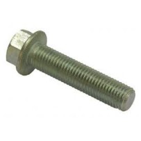 Vis de frein remorque SAF 4343290400