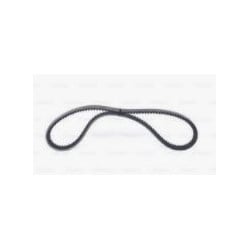 Courroie trapézoidale 10x1200