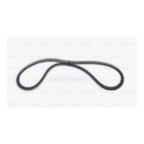 Courroie trapézoidale 10x1200