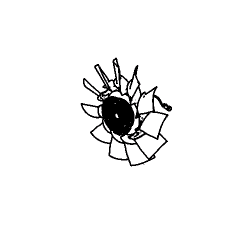 Visco coupleur Neuf E/S...