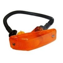 Clignotant latéral pour DAF F85