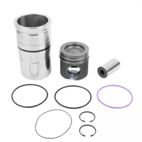 Cylindrée pour Volvo FH/FM/FMX/NH