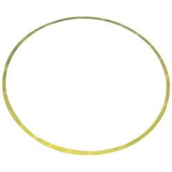 Cale 0.08mm pour Iveco Cursor