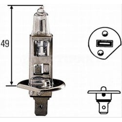 Ampoule H1 24 V P14,5s