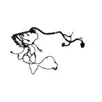 Faisceaux moteur pour Iveco Daily