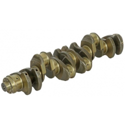 VILEBREQUIN D2876 (Course 166mm)  pour Man TGA