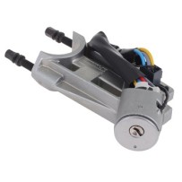 Neiman pour Renault Trucks magnum