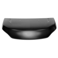 Capot nu, sans charnières ni logo, pour Iveco Daily