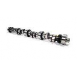 Arbre à cames pour Renault...