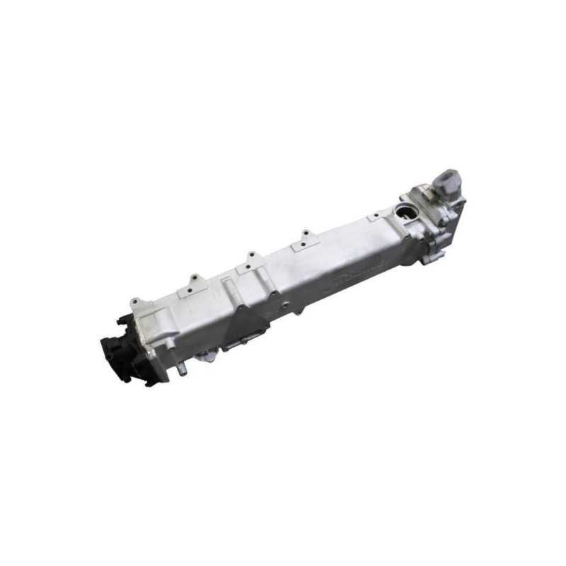 Module de Reconduction Gaz échapp. (vanne EGR), pour Man