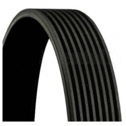 Courroie 8PK1565