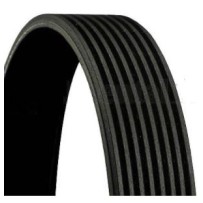 Courroie 8PK1565